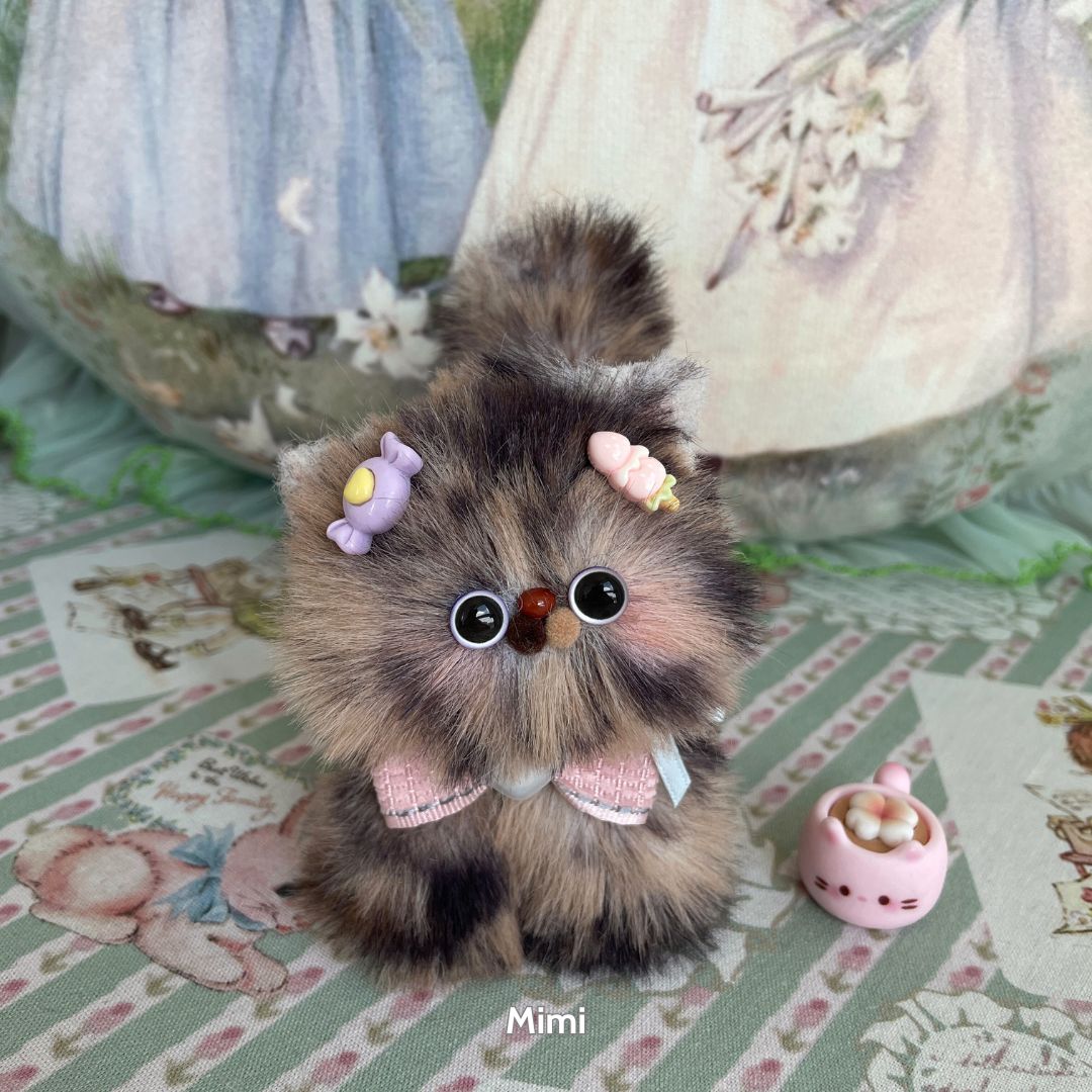 Fluffy Kitten Collection