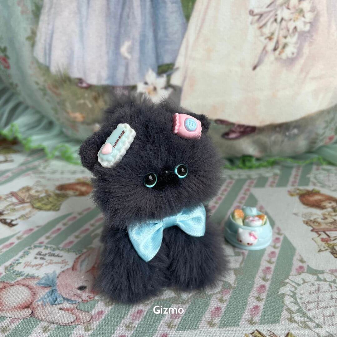 Grey Kitten Collection
