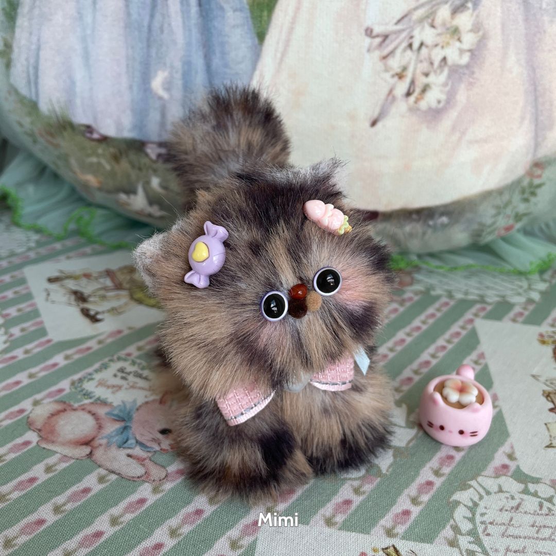 Fluffy Kitten Collection