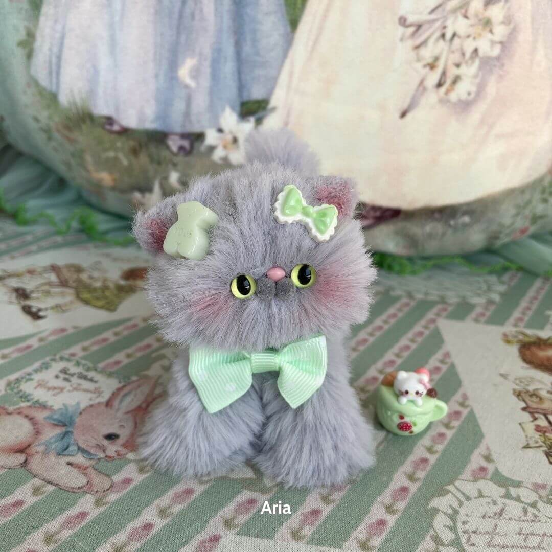 Grey Kitten Collection