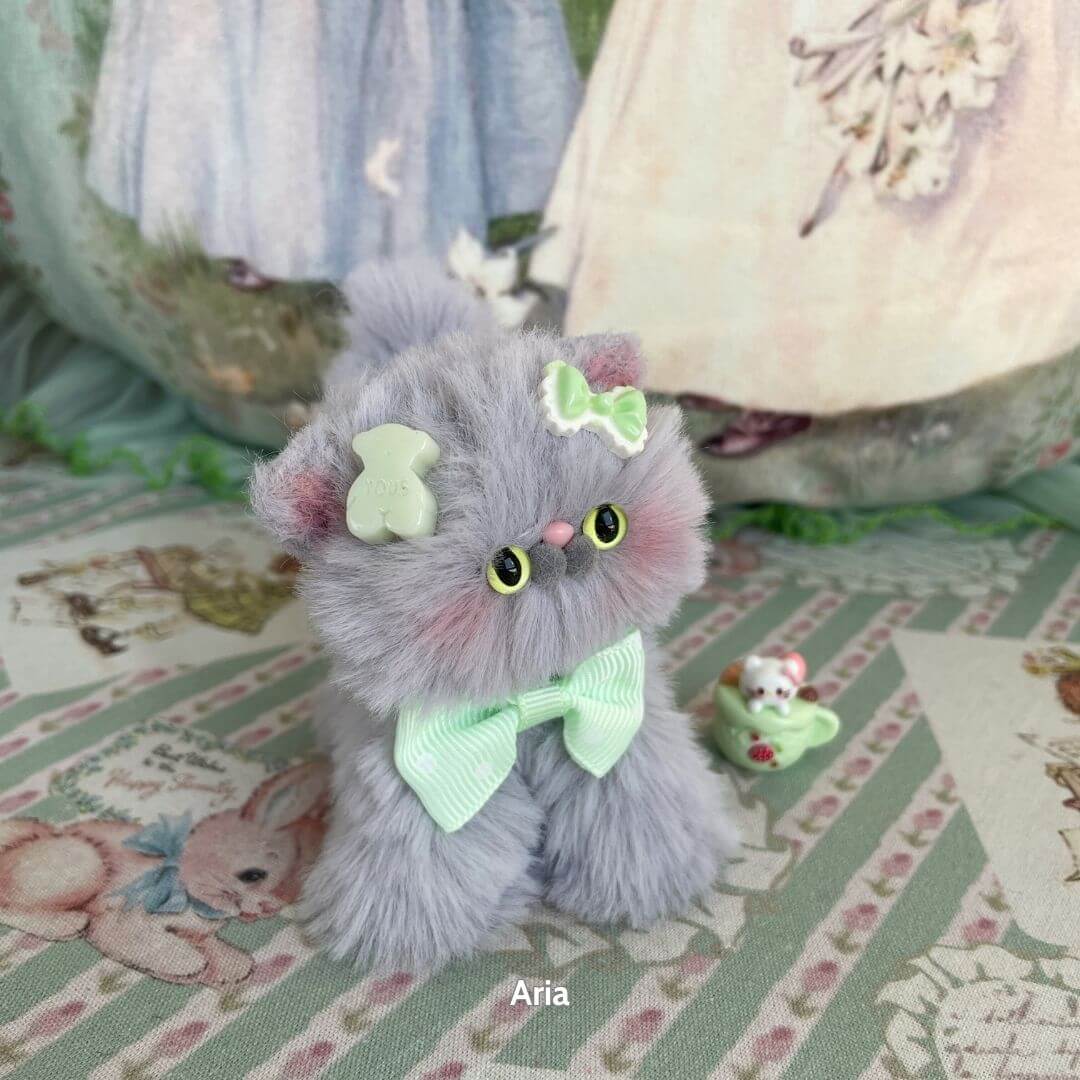 Grey Kitten Collection