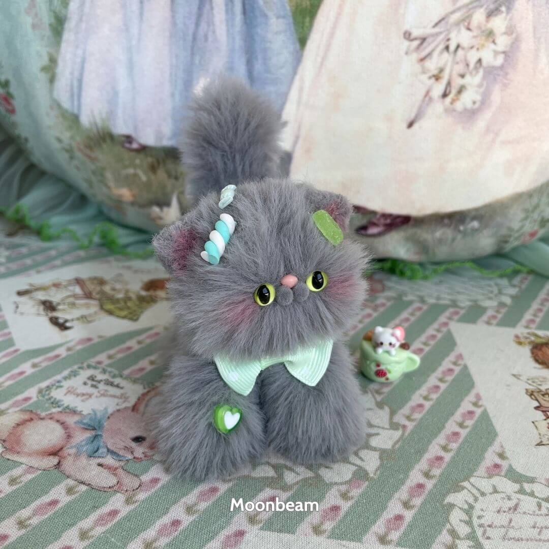 Grey Kitten Collection
