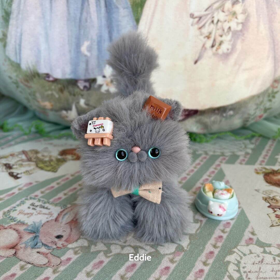 Grey Kitten Collection