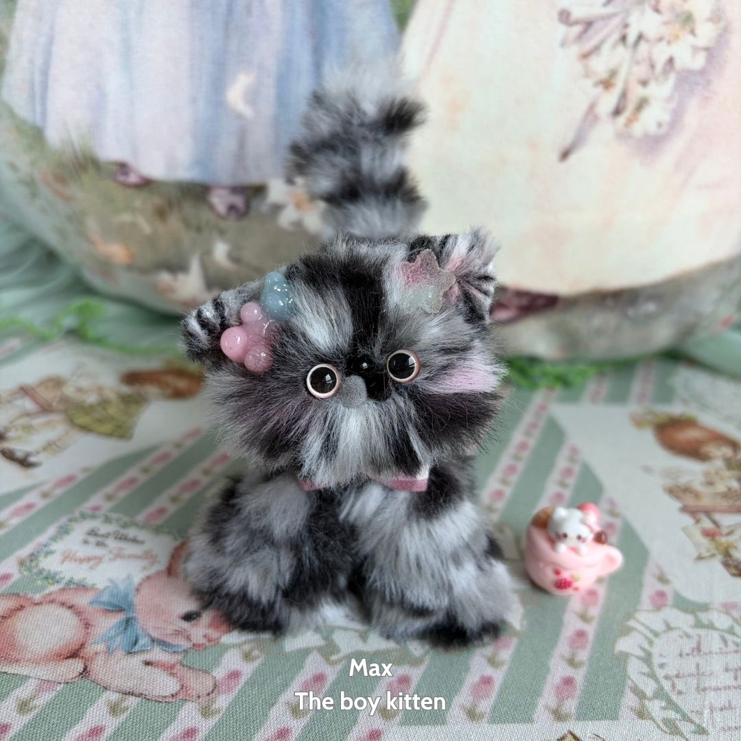 Adorable Kitten Collection