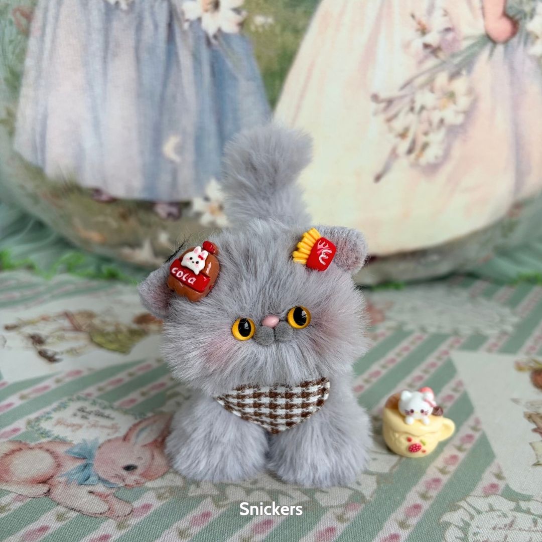 Grey Kitten Collection