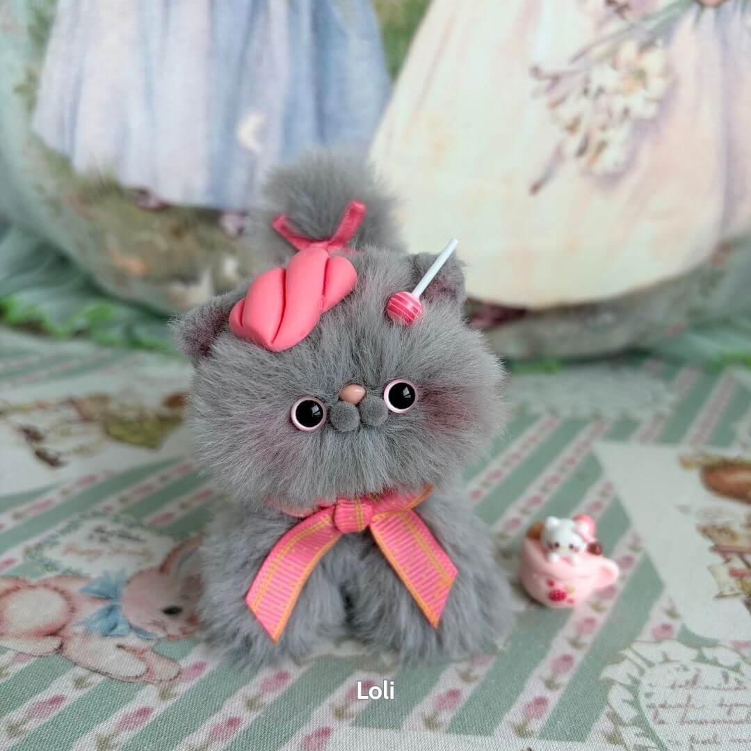 Grey Kitten Collection