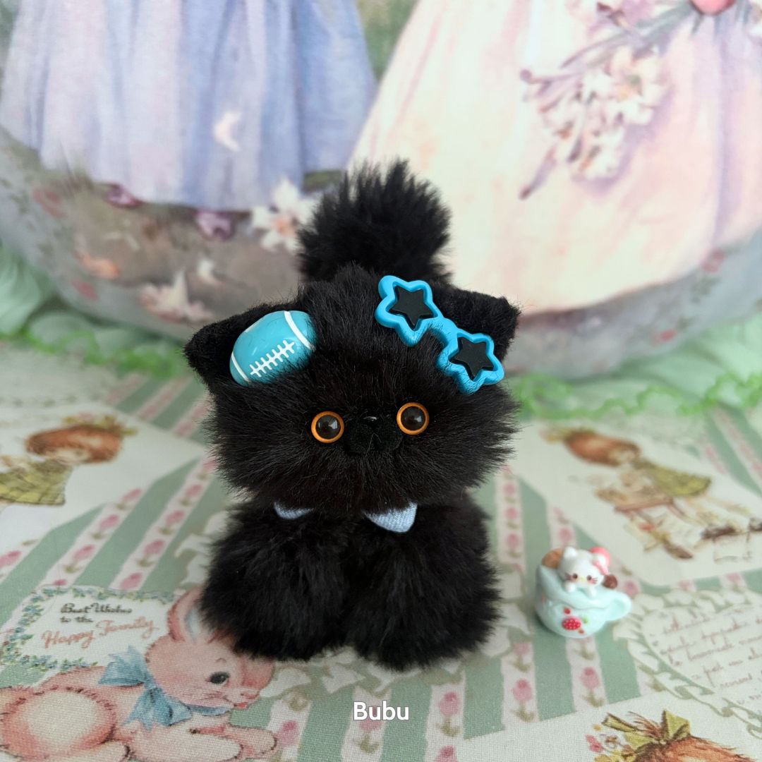 Black Kitten Collection