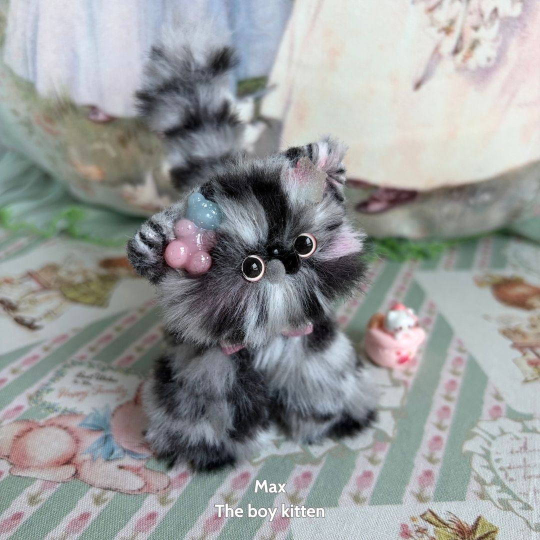 Adorable Kitten Collection