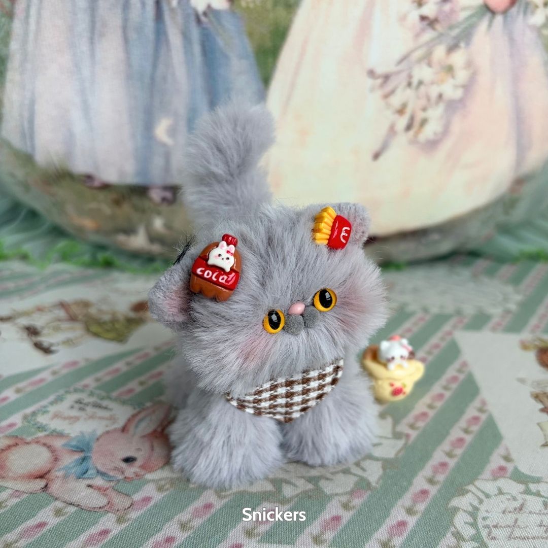 Grey Kitten Collection