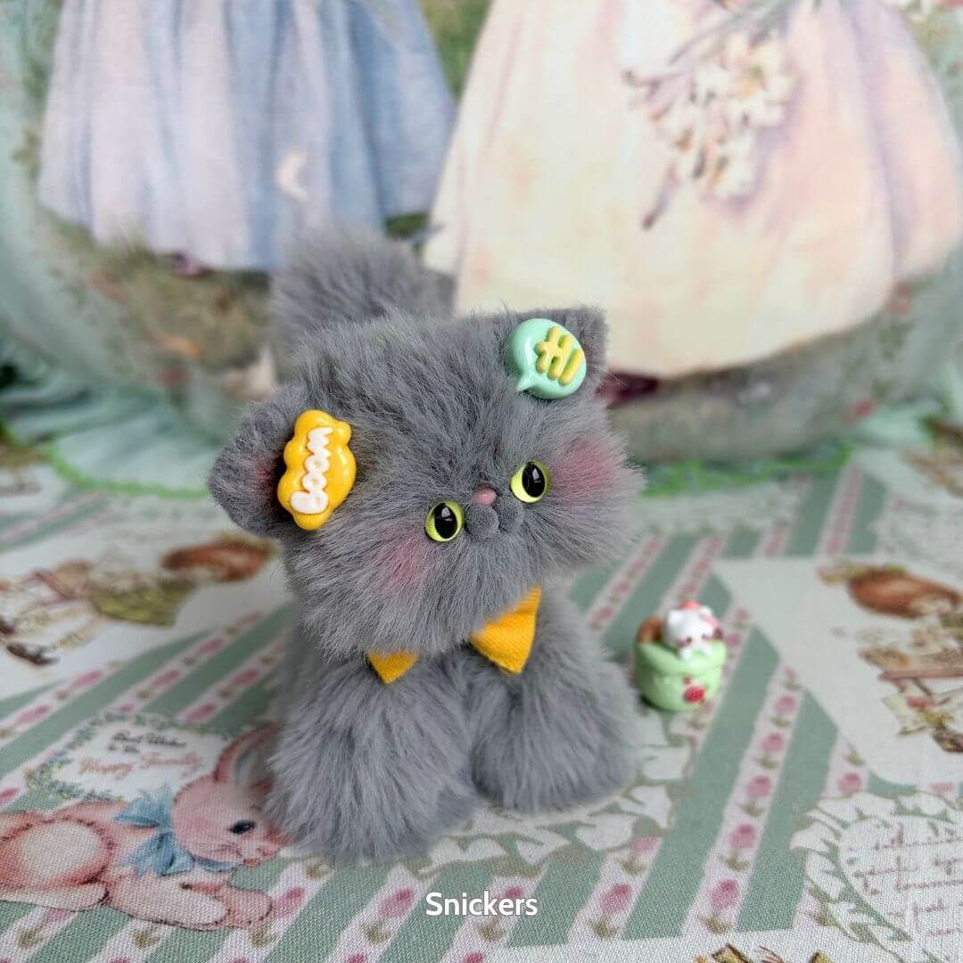 Grey Kitten Collection