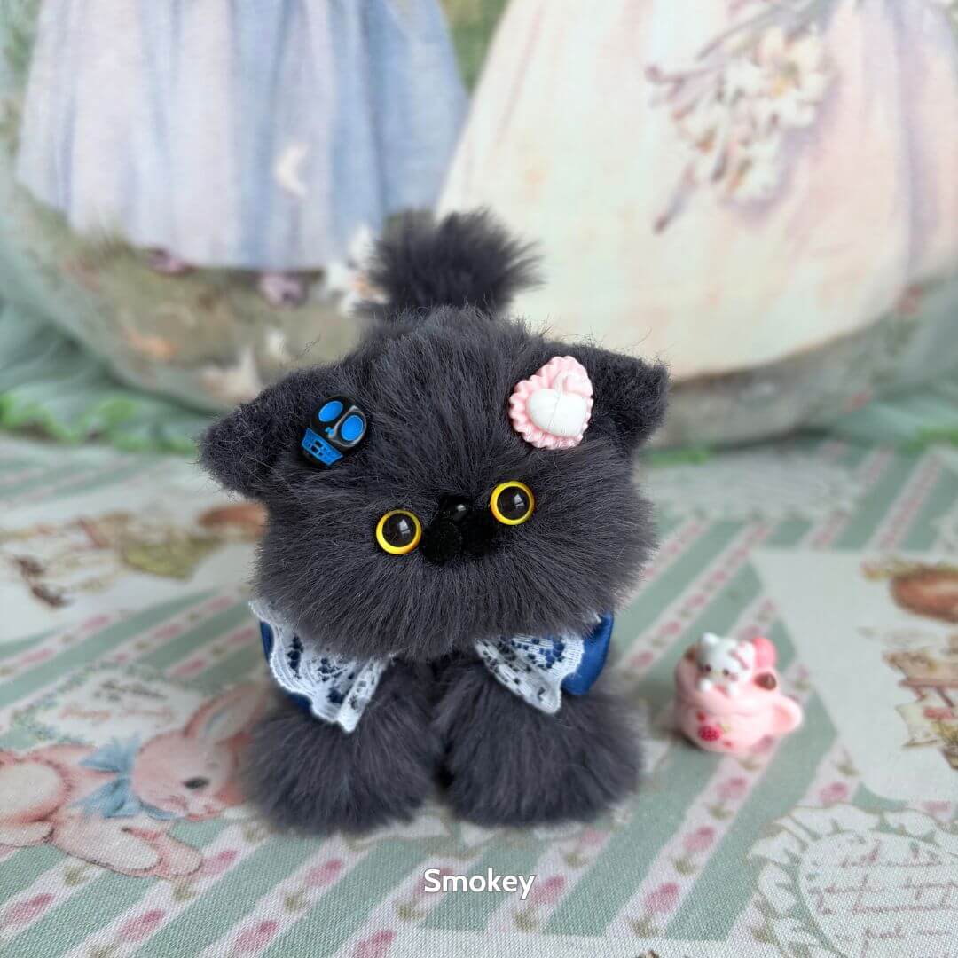 Grey Kitten Collection