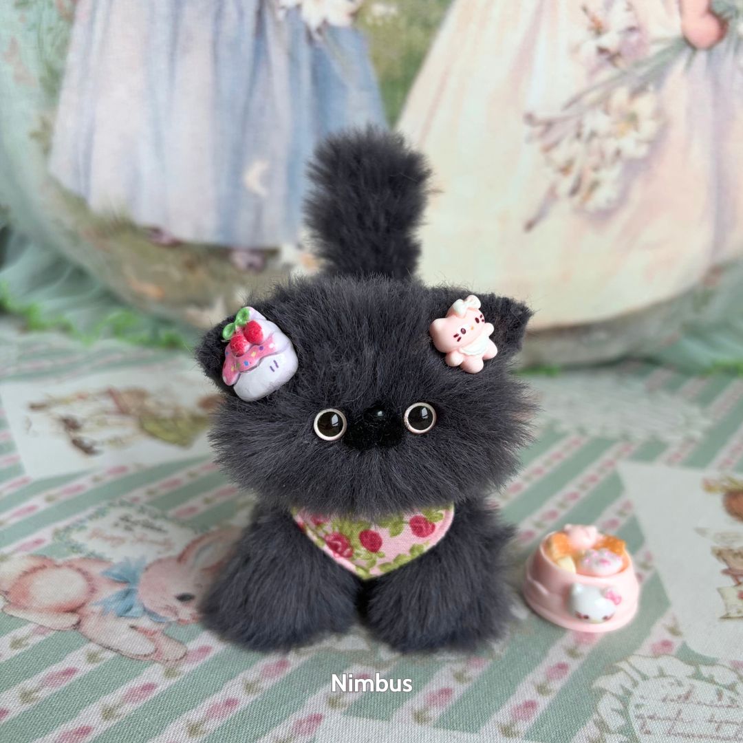 Grey Kitten Collection