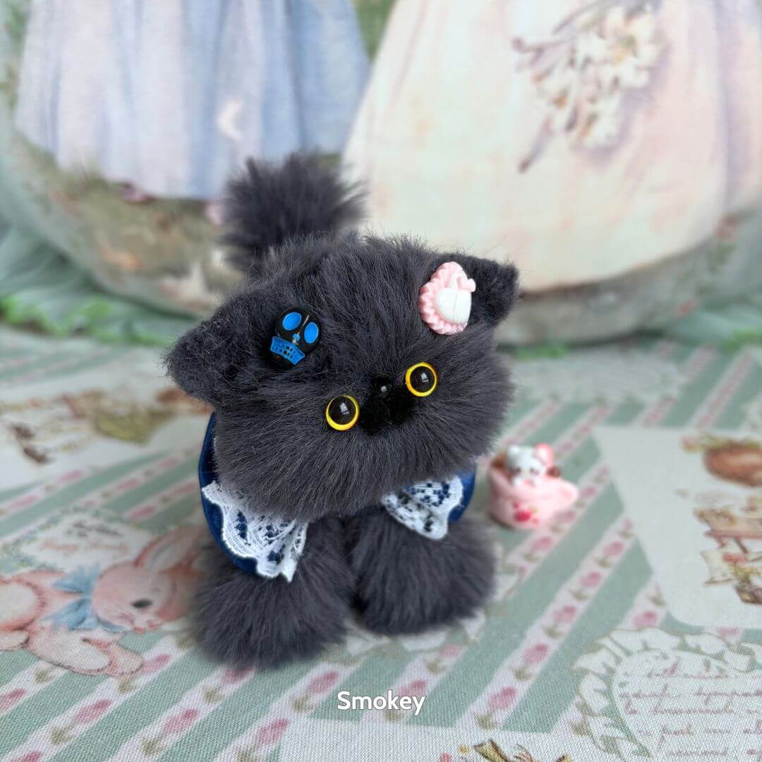 Grey Kitten Collection