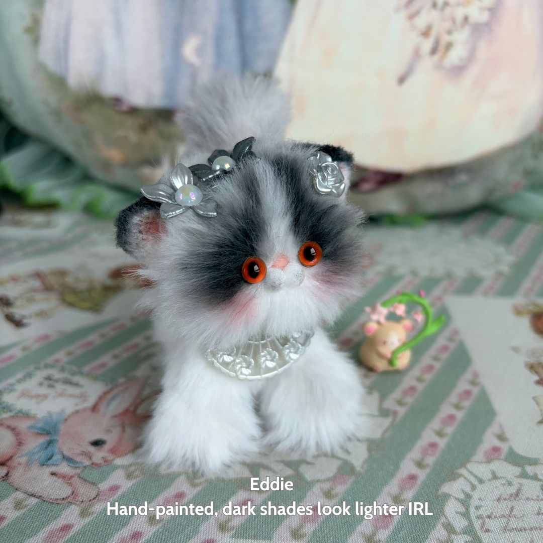 Adorable Kitten Collection