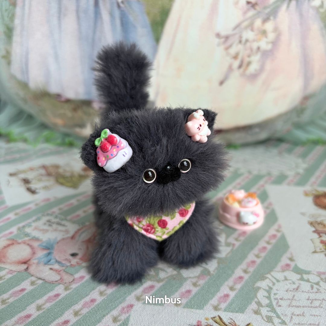Grey Kitten Collection