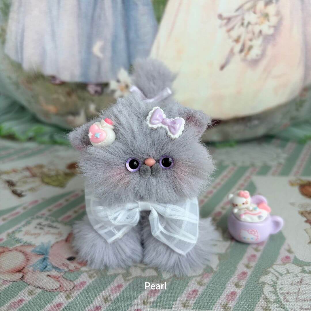 Grey Kitten Collection