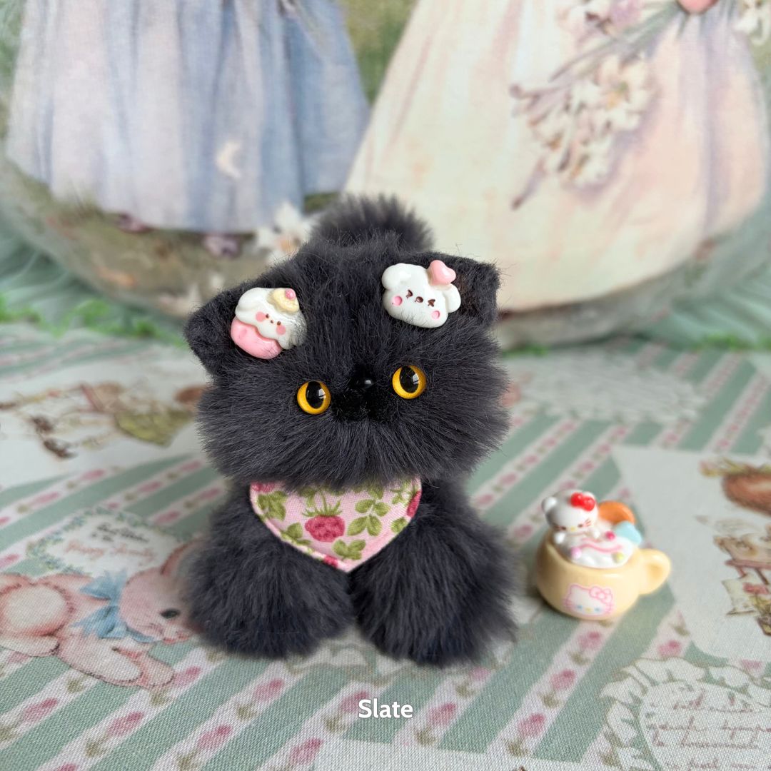 Grey Kitten Collection