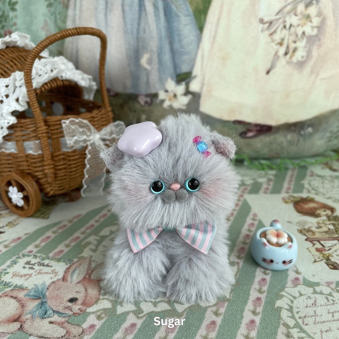 Gray Kitten Collection