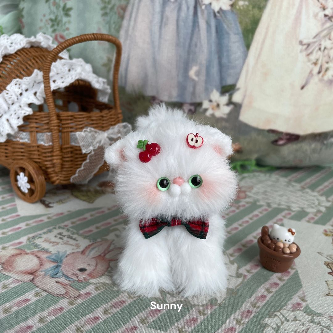 White Kitten Collection