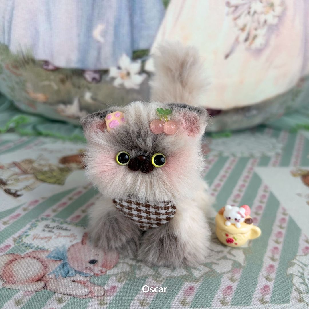 Adorable Kitten Collection