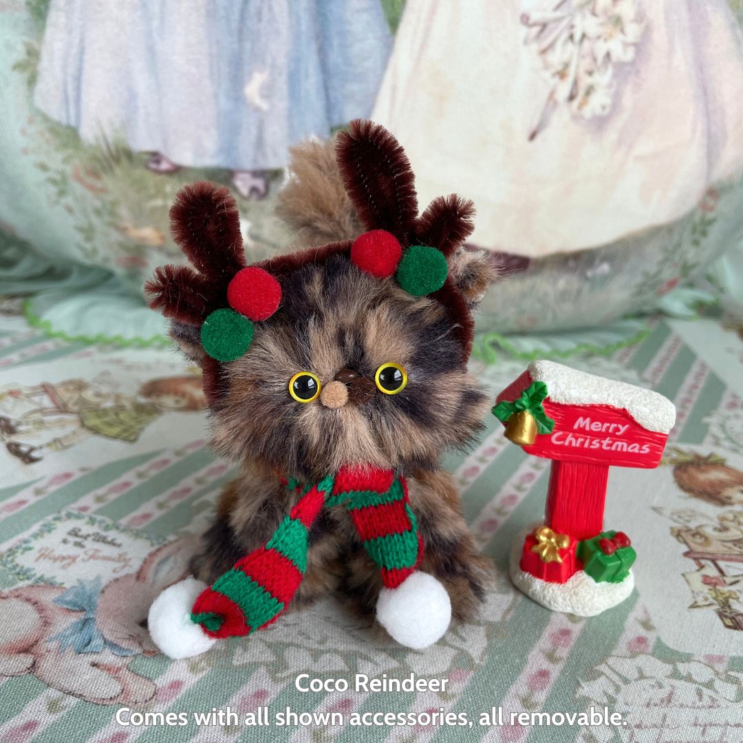 Christmas Kitten Collection