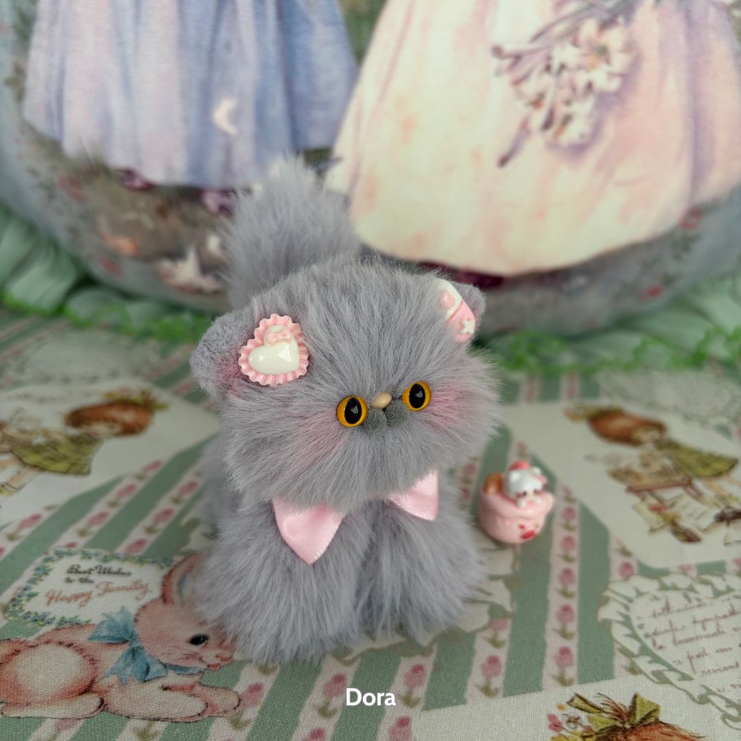 Grey Kitten Collection