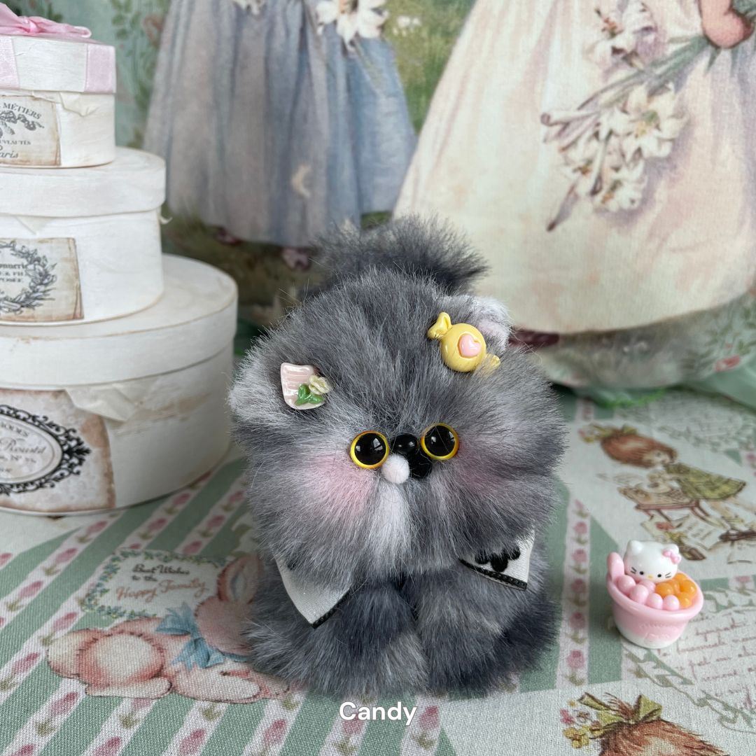 Fluffy Kitten Collection