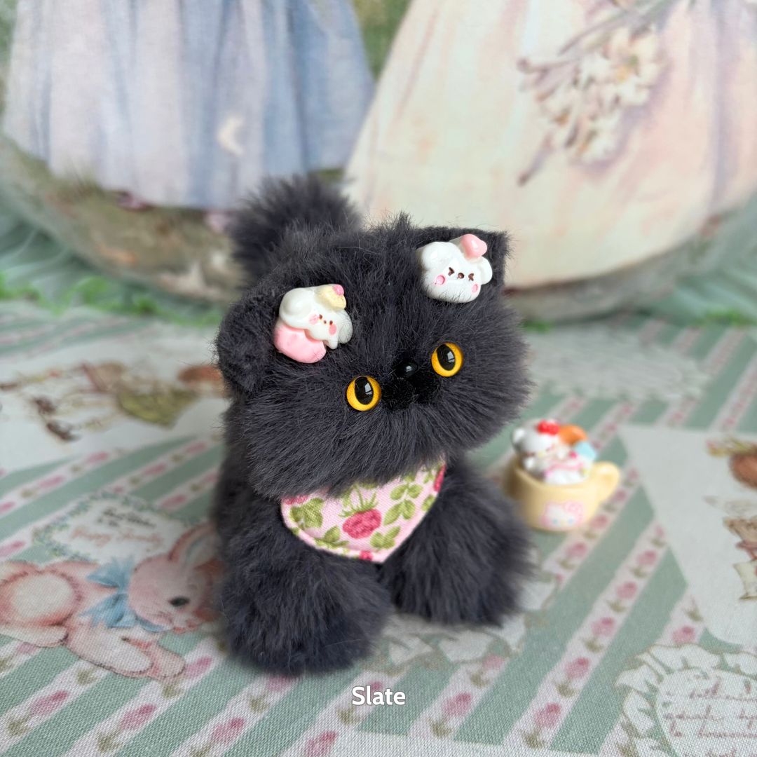 Grey Kitten Collection