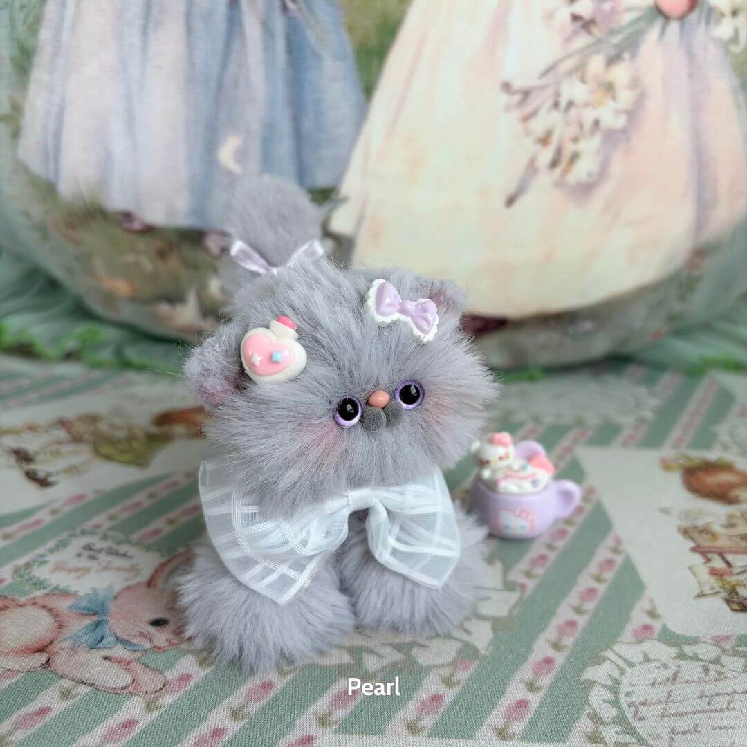 Grey Kitten Collection