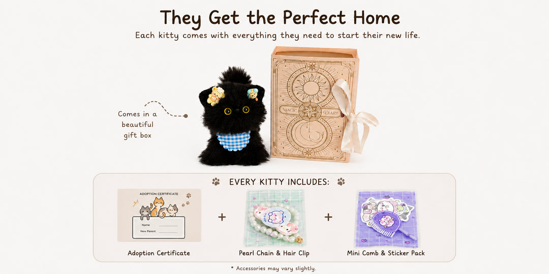 Adorable Kitten Collection gift packaging