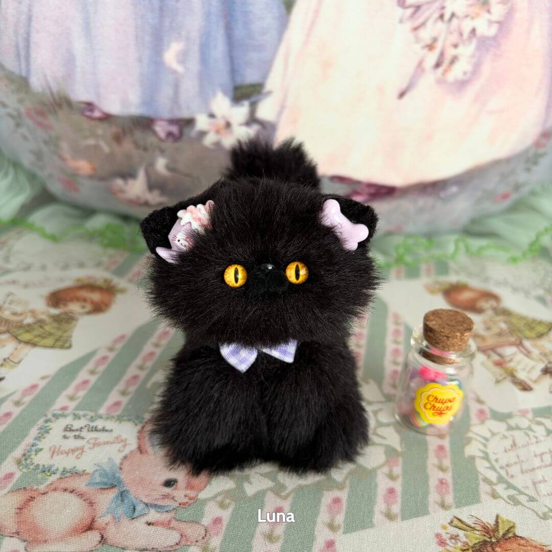 Black Kitten Collection