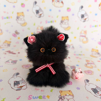 Black Kitten Collection