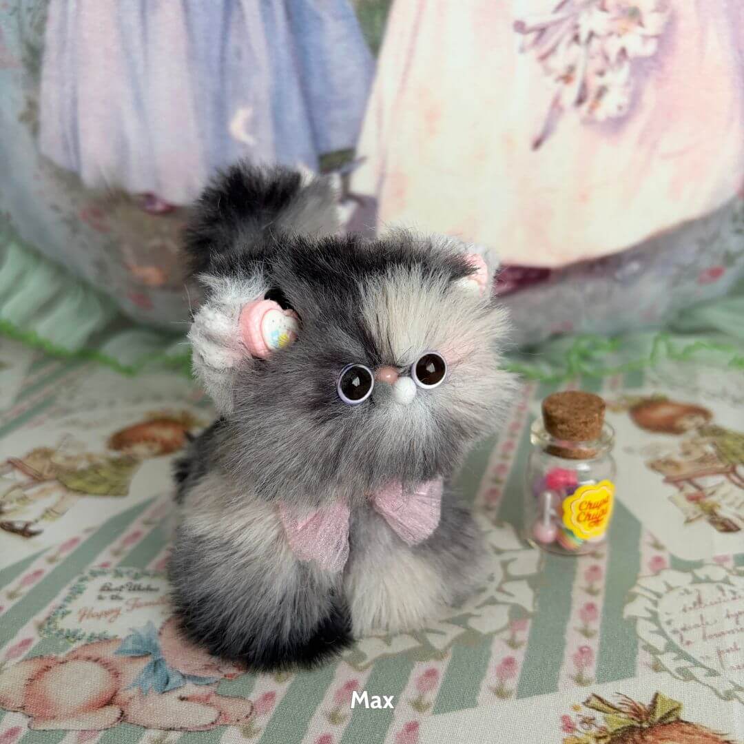 Fluffy Kitten Collection