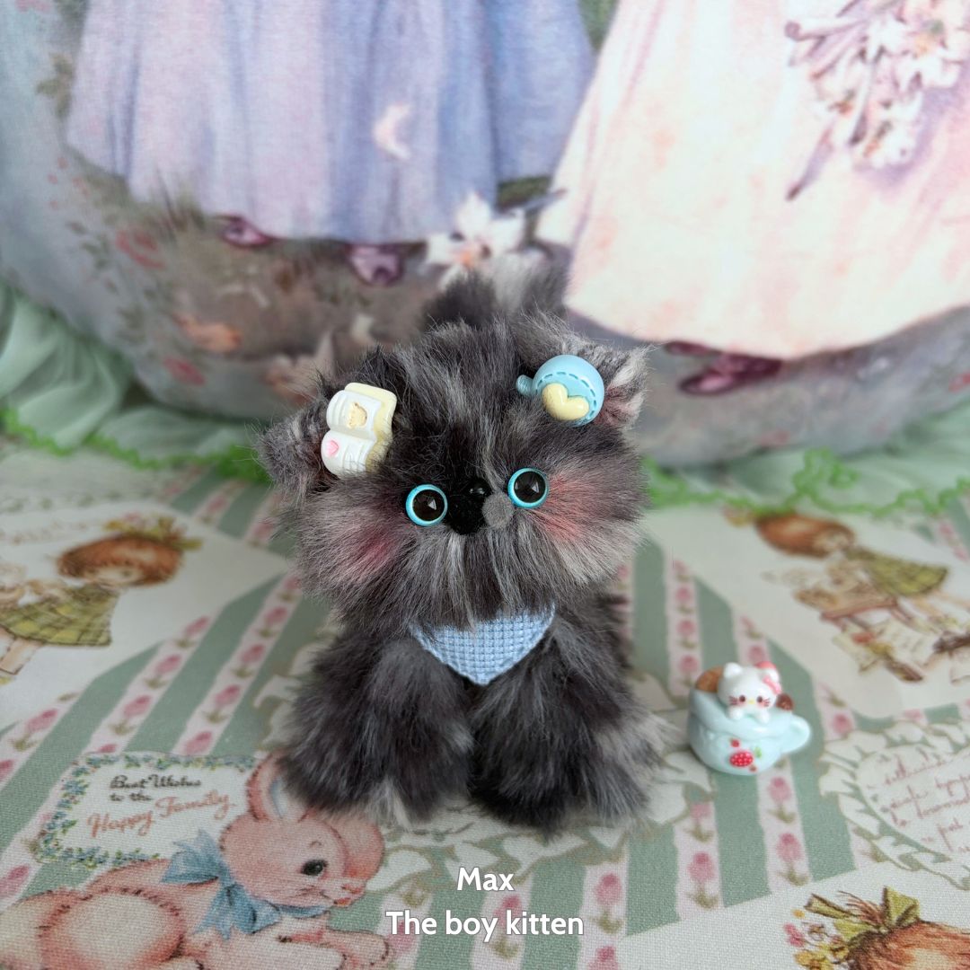 Adorable Kitten Collection