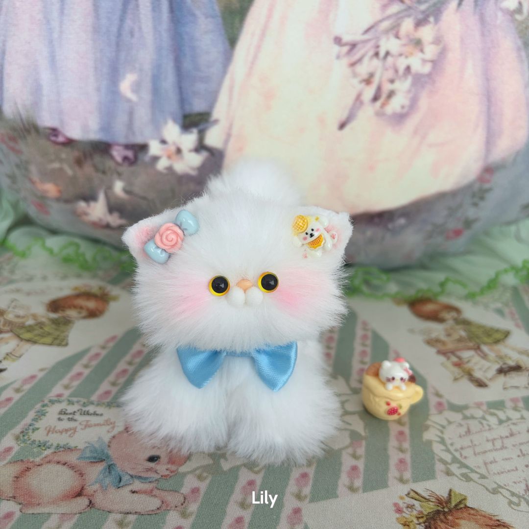 White Kitten Collection
