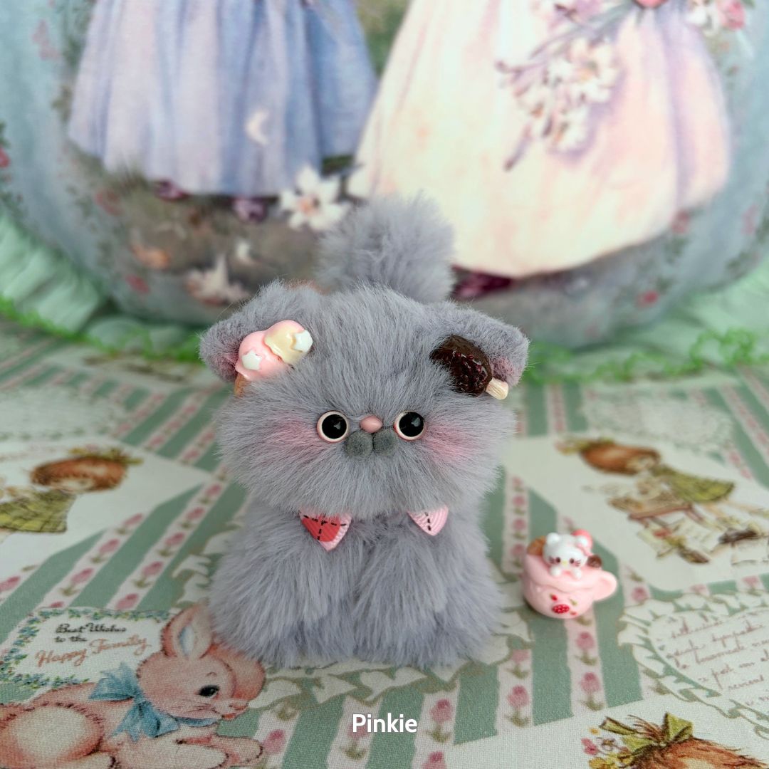 Grey Kitten Collection