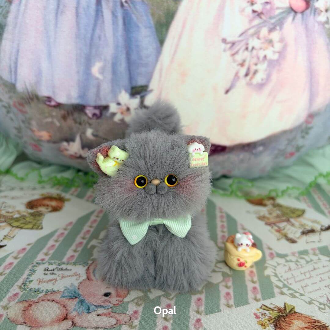 Grey Kitten Collection