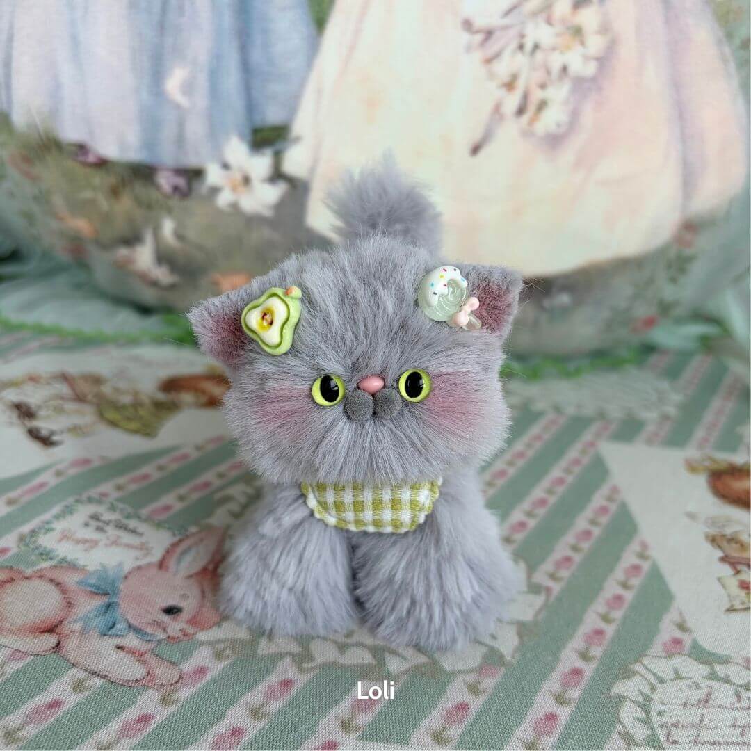 Grey Kitten Collection