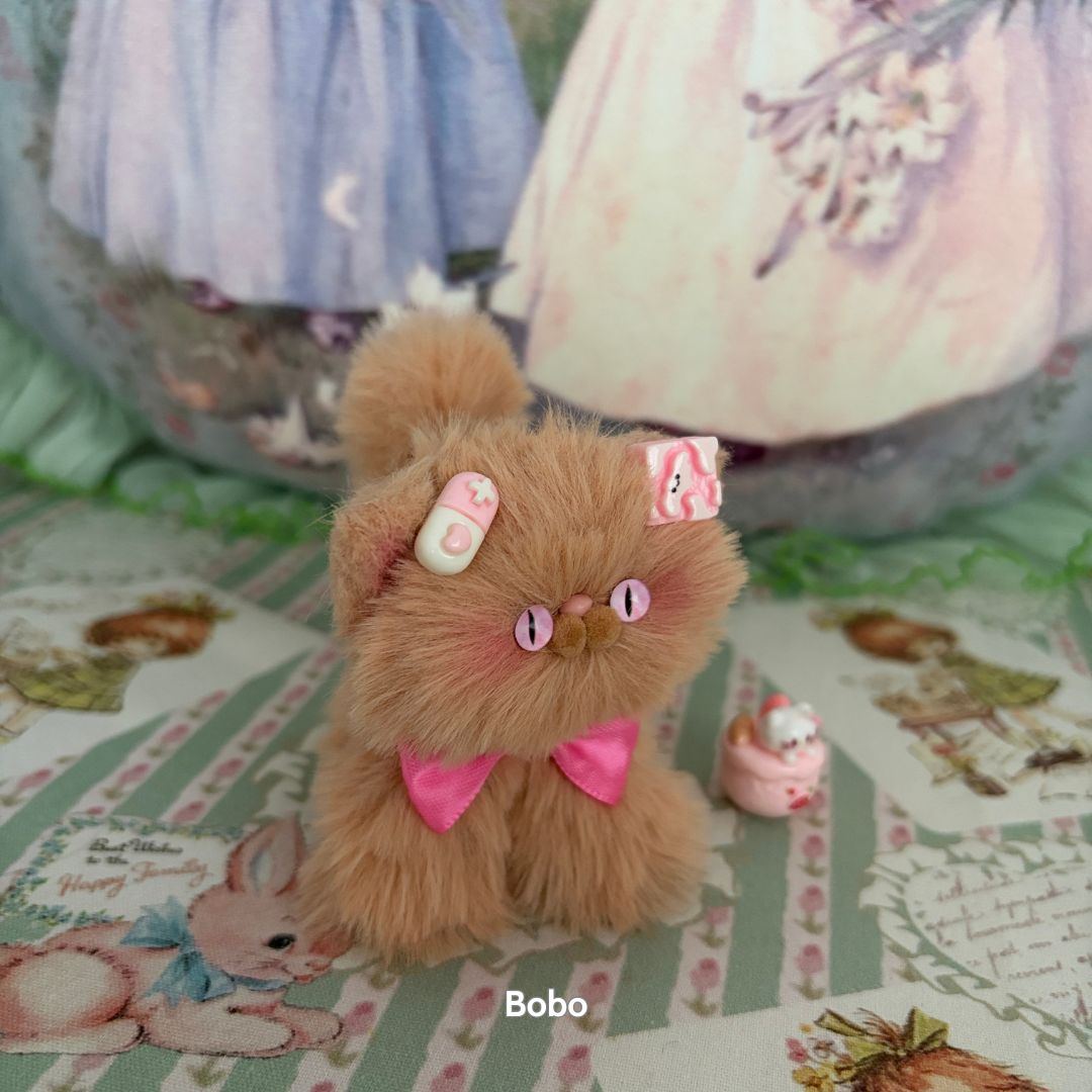 Brown Kitten Collection