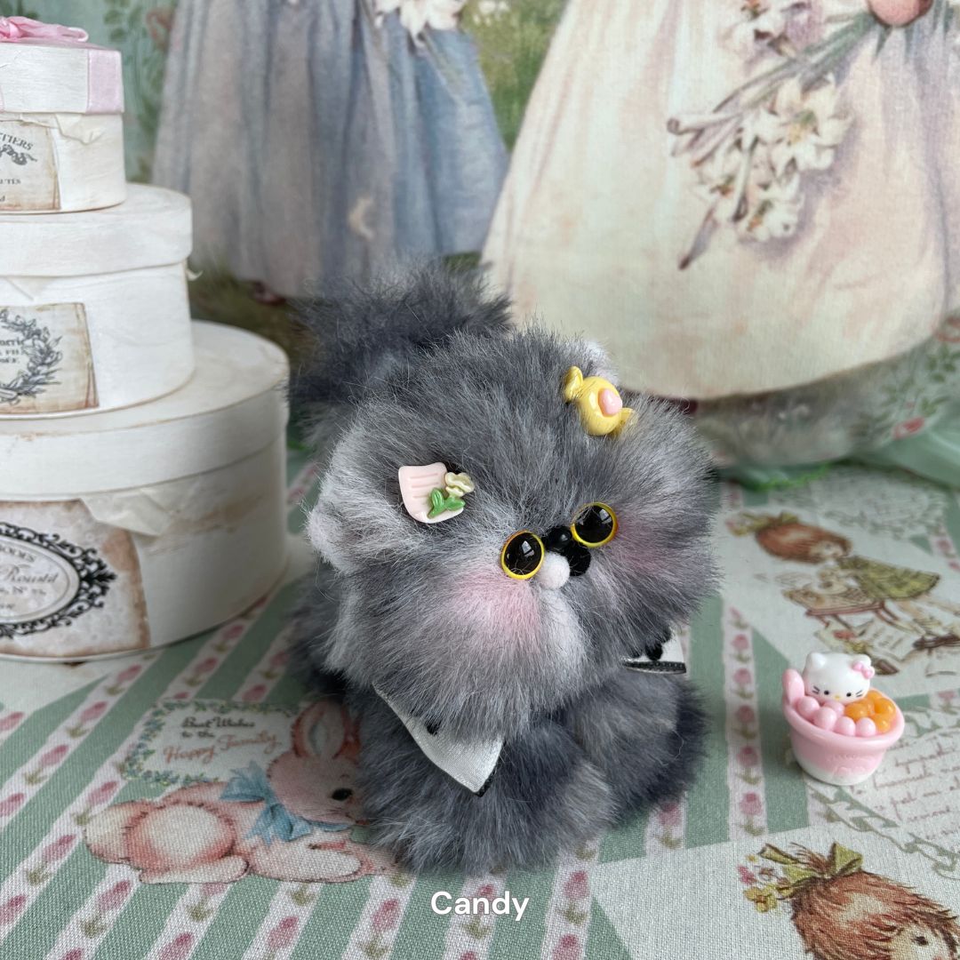 Fluffy Kitten Collection