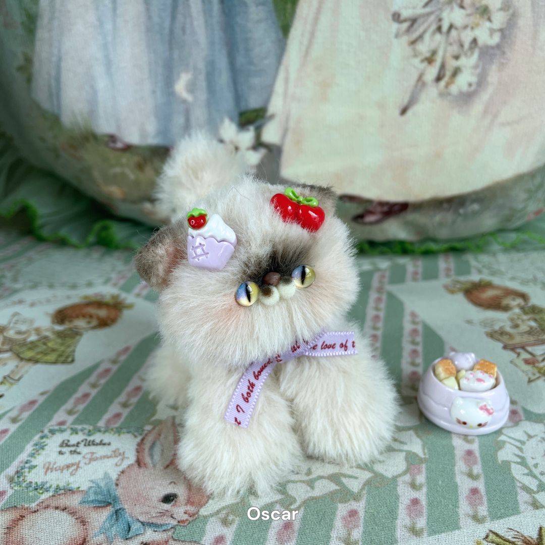 Adorable Kitten Collection