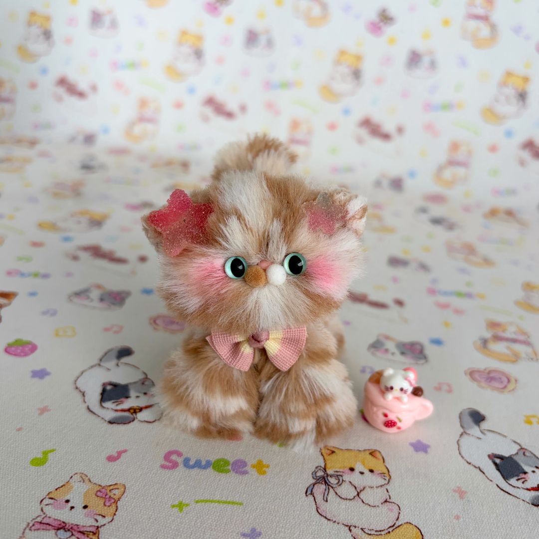 Adorable Kitten Collection