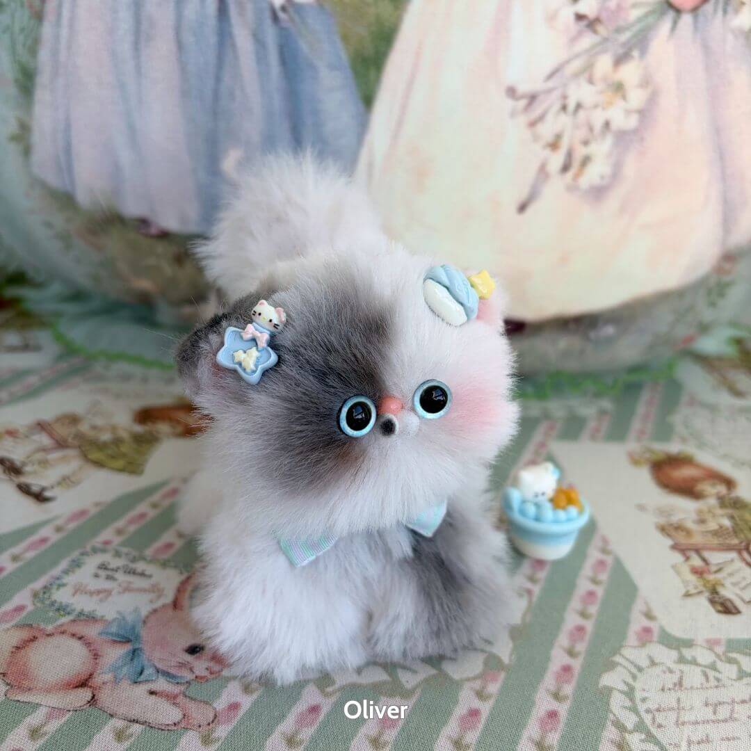 Fluffy Kitten Collection