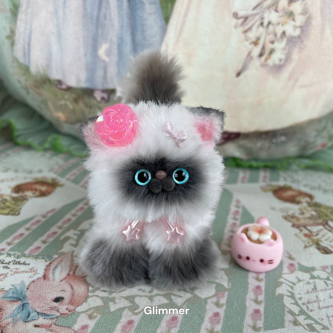 Adorable Kitten Collection