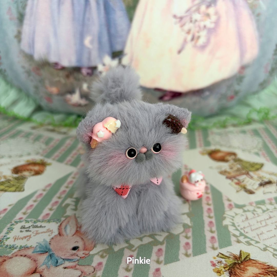 Grey Kitten Collection