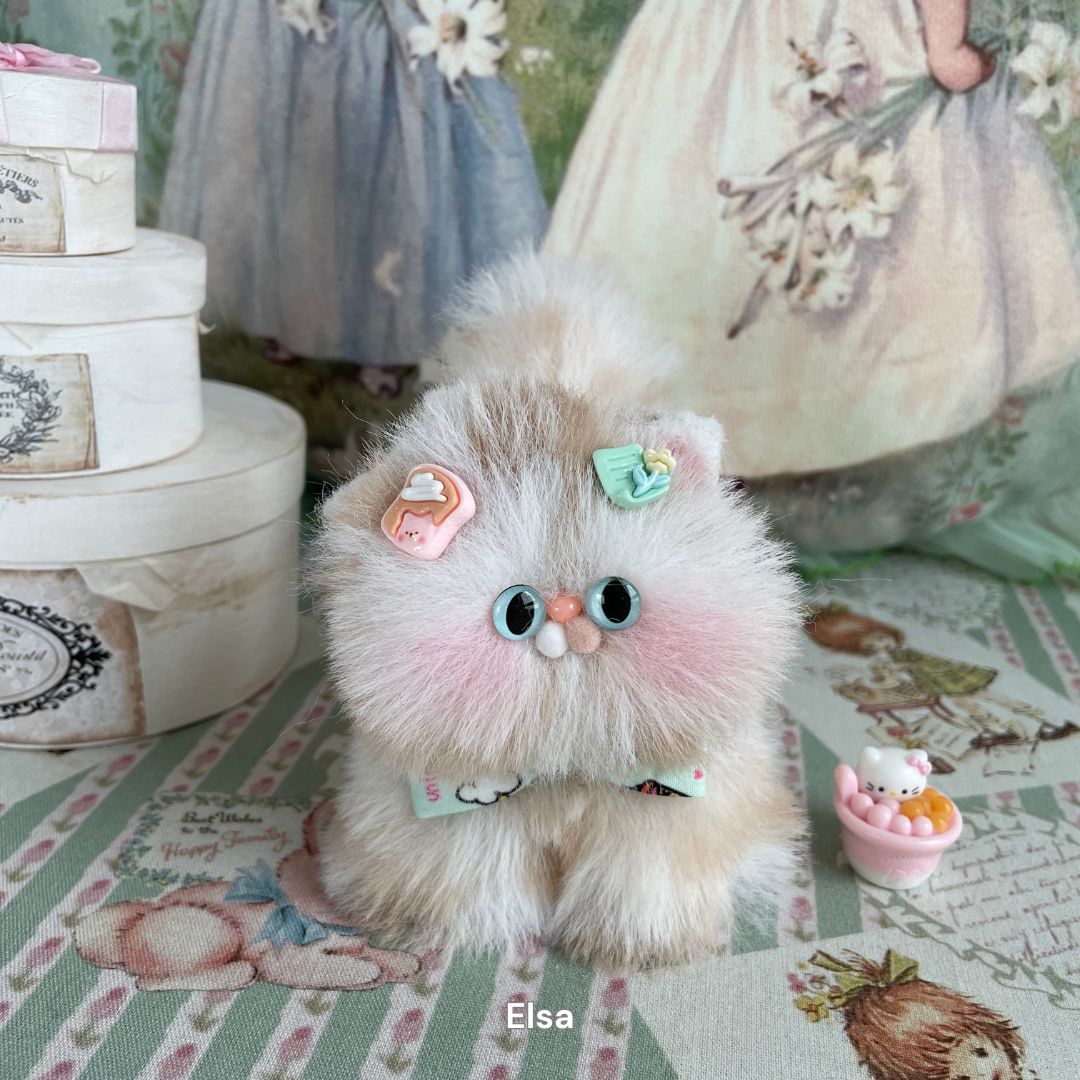 Fluffy Kitten Collection
