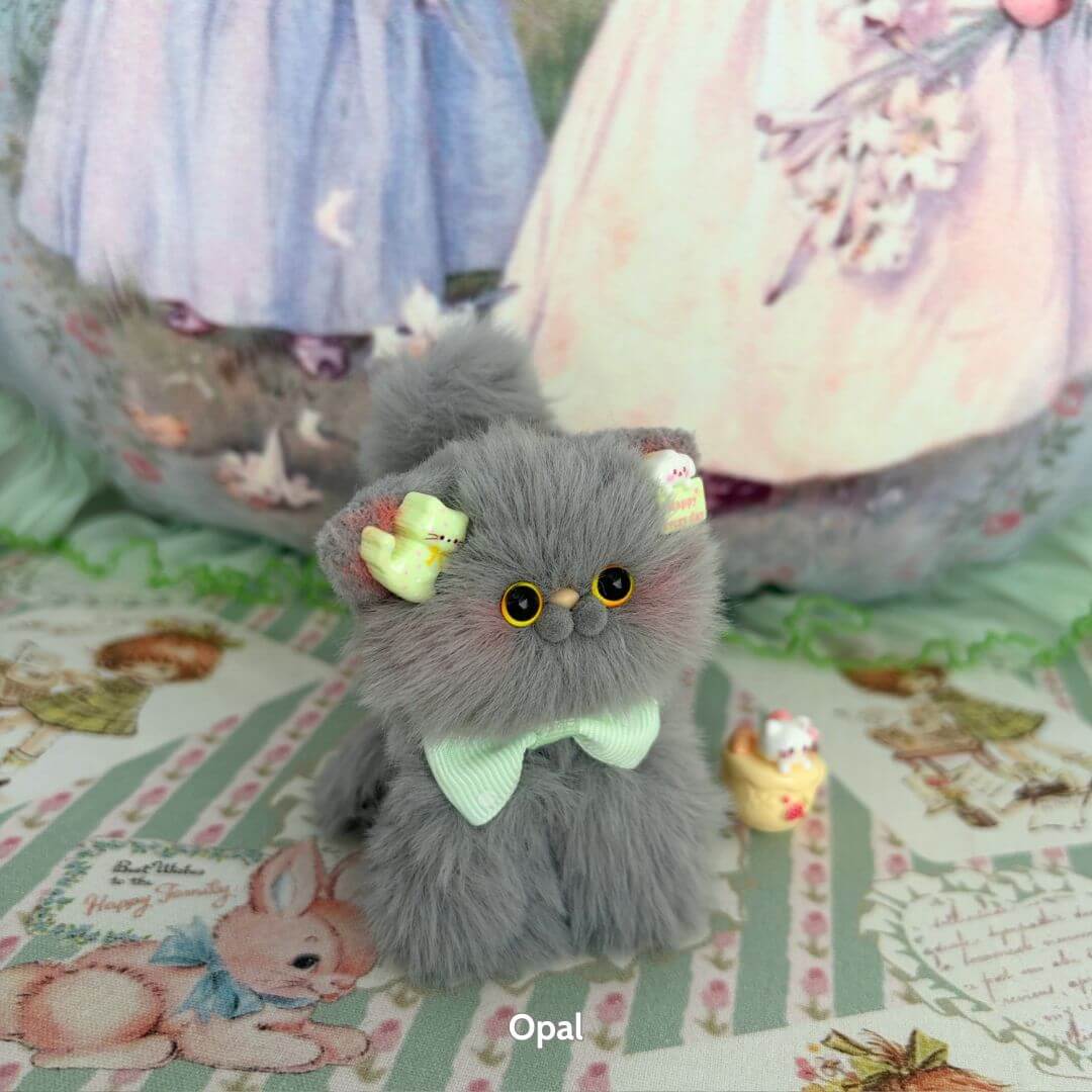 Grey Kitten Collection