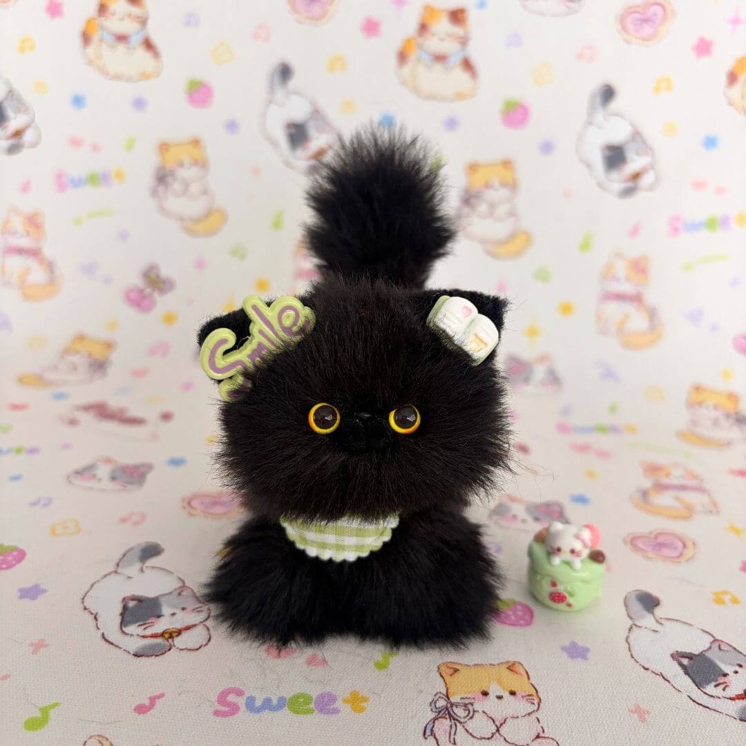 Black Kitten Collection