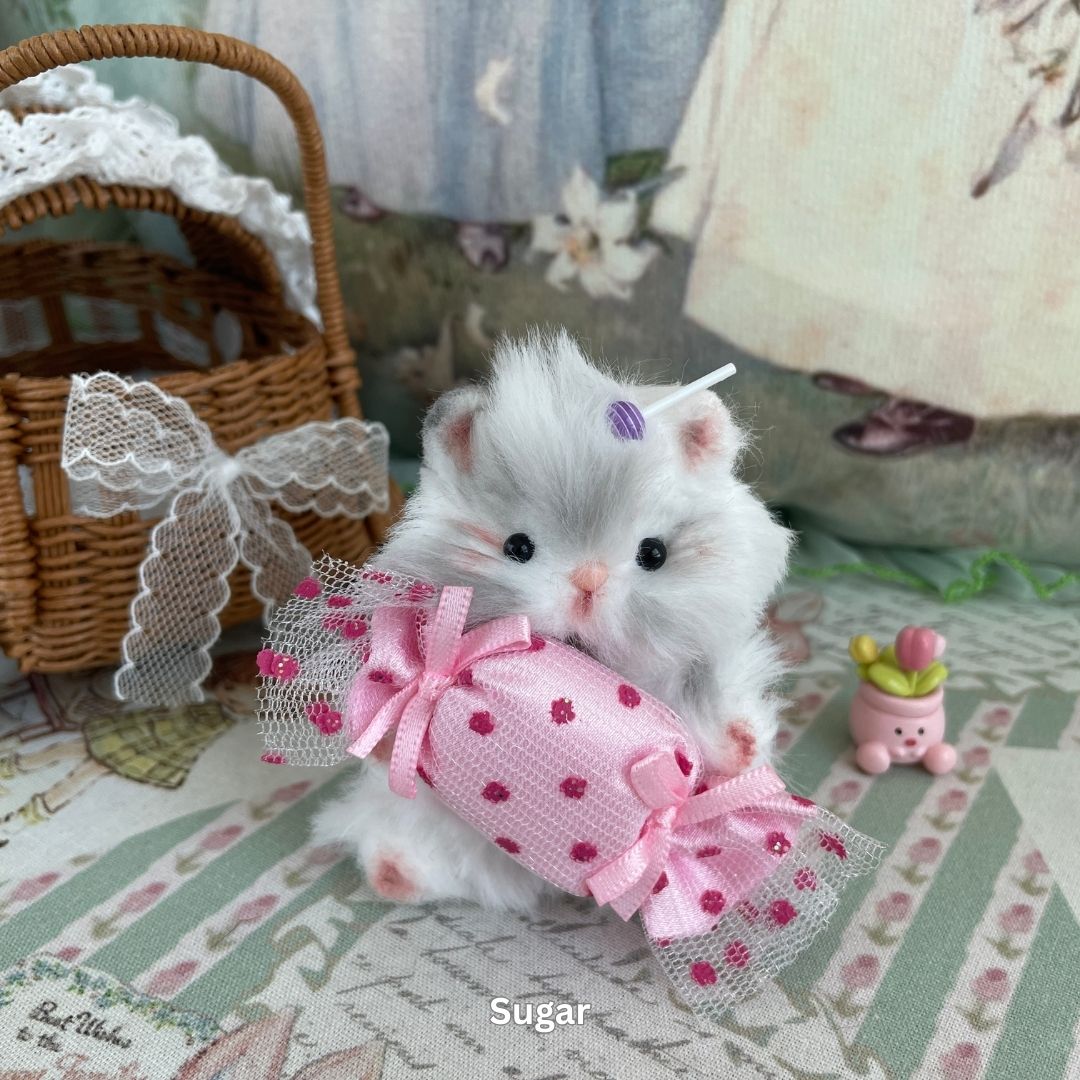 Adorable Hamsters Collection