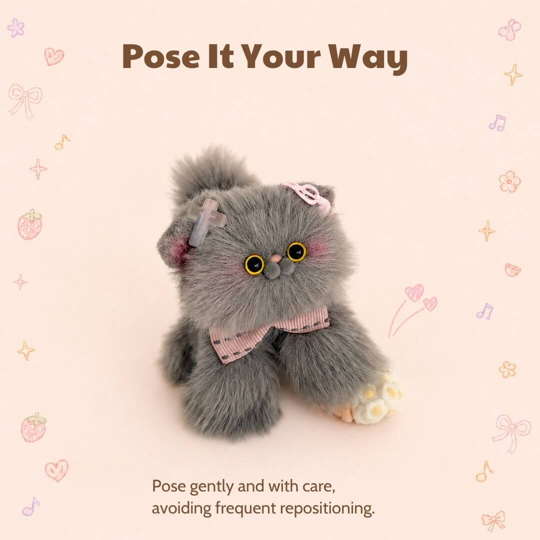 Grey Kitten Collection